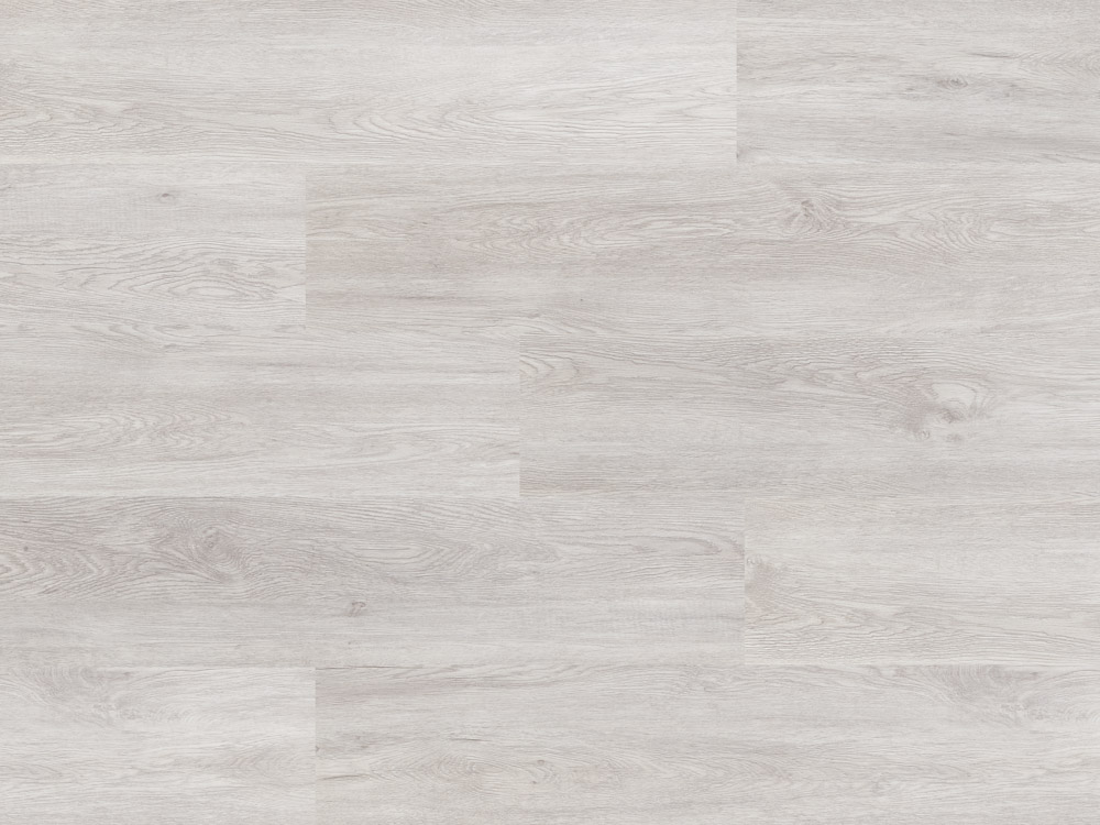 SPC LIBERAL ROVERE CANADESE - immagine 3